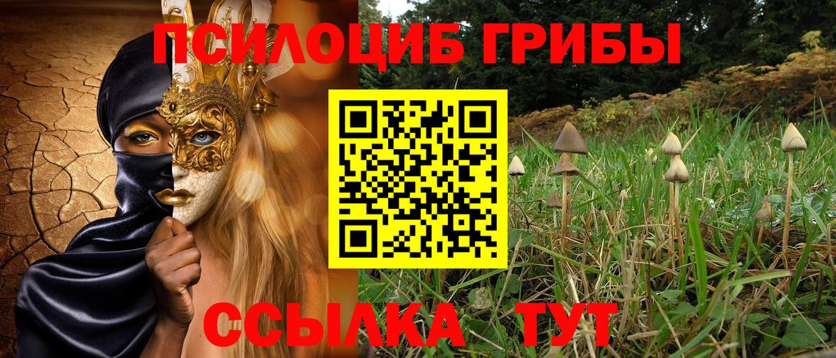 Псилоцибиновые грибы прущие грибы  Вход с VPN  Саяногорск 