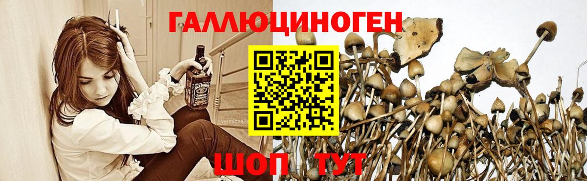 Псилоцибиновые грибы MAGIC MUSHROOMS Саяногорск