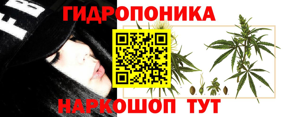 Канабис сатива Саяногорск